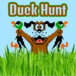Duck Hunt