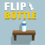 Bottle Flip